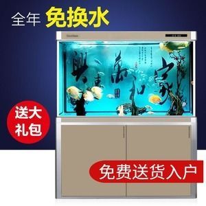 多久换水鱼缸：养鱼水质管理全攻略 鱼缸百科 第4张