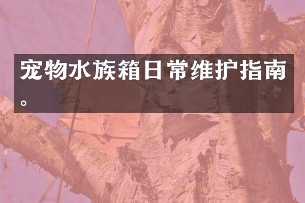 宠物水族箱日常维护指南。