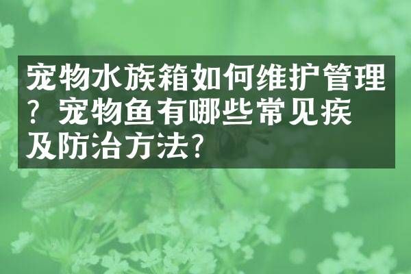 宠物水族箱如护管理？宠物鱼有哪些常见疾病及防治方法？