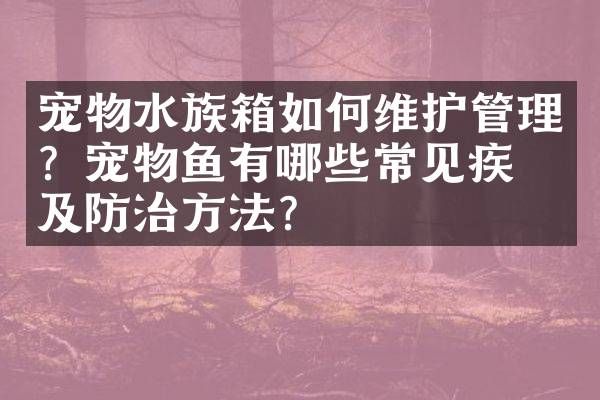 宠物水族箱如护管理？宠物鱼有哪些常见疾病及防治方法？
