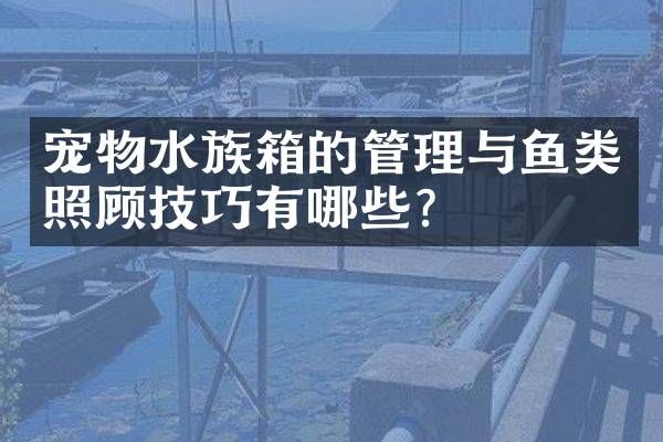 宠物水族箱的管理与鱼类照顾技巧有哪些？