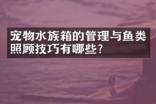 宠物水族箱的管理与鱼类照顾技巧有哪些？