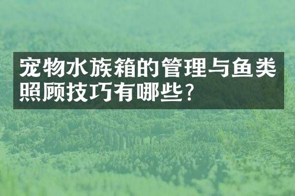 宠物水族箱的管理与鱼类照顾技巧有哪些？