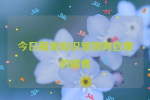 今日萌宠知识宠物狗合理的喂食