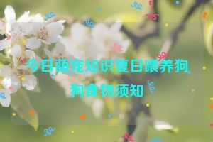 今日萌宠知识夏日喂养狗狗食物须知