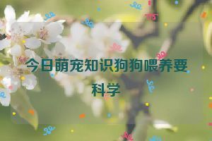 今日萌宠知识狗狗喂养要科学