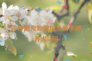 今日萌宠知识国外新手喂养犬50问