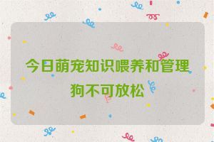 今日萌宠知识喂养和管理狗不可放松