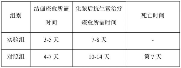 一种提高宠物免疫力的植物乳植杆菌King07及菌剂、制备方法和应用与流程
