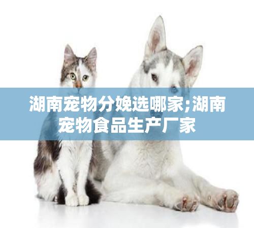 湖南宠物分娩选哪家;湖南宠物食品生产厂家