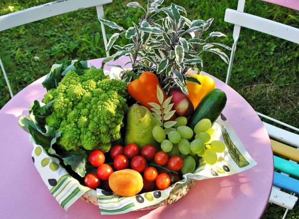 Fruit Basket 