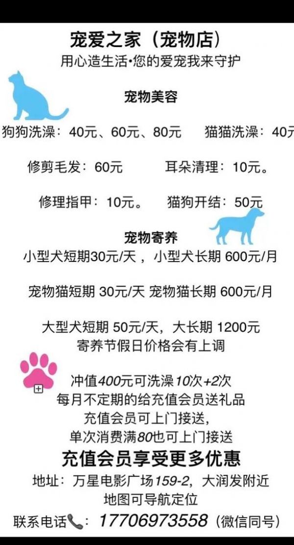 如何开宠物美容店（开宠物美容店需要具备哪些条件）