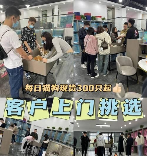 清道夫咬人原因何在？防止其攻击行为的方法是什么？