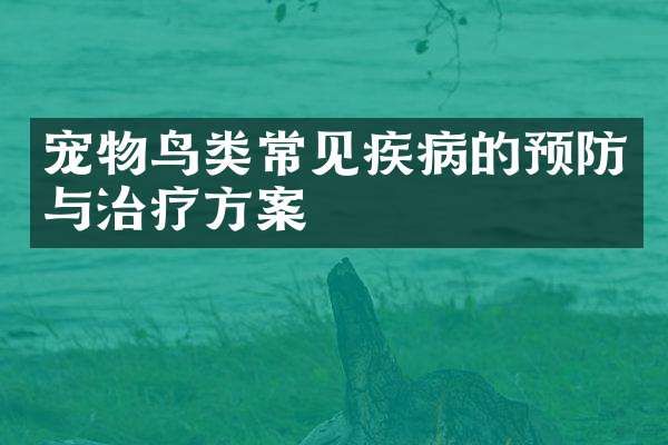 宠物鸟类常见疾病的预防与治疗方案