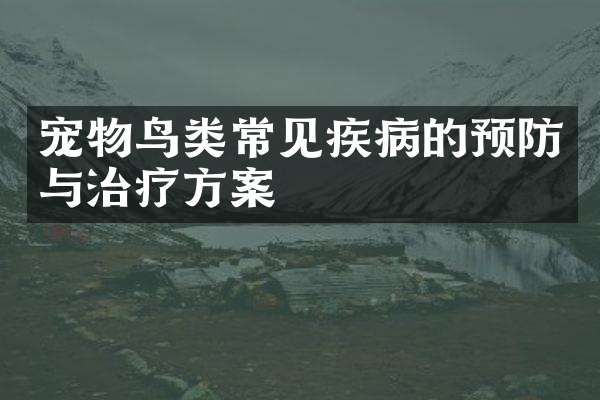 宠物鸟类常见疾病的预防与治疗方案