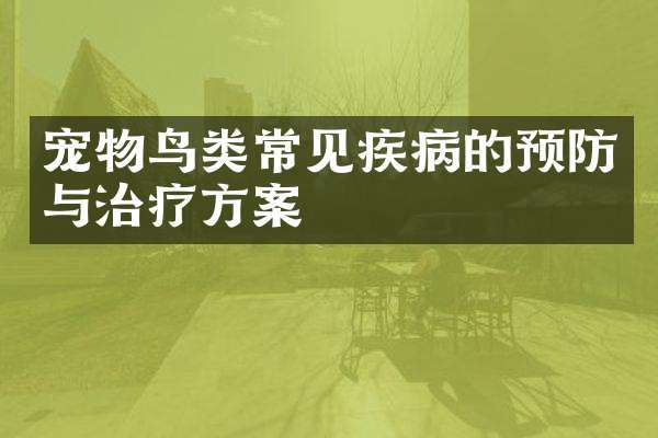 宠物鸟类常见疾病的预防与治疗方案