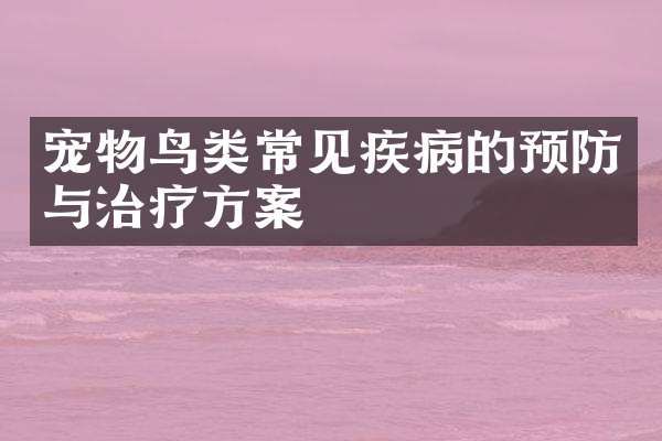 宠物鸟类常见疾病的预防与治疗方案