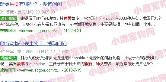 鬣蜥的种类