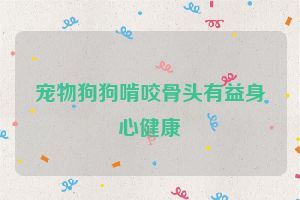 宠物狗狗啃咬骨头有益身心健康