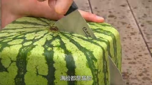 日本2万元的方西瓜好吃吗？小伙一刀切开后，满脸都是尴尬