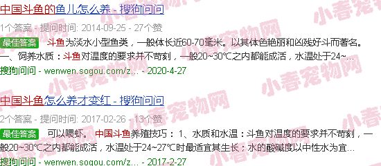 养中国斗鱼的三大误区
