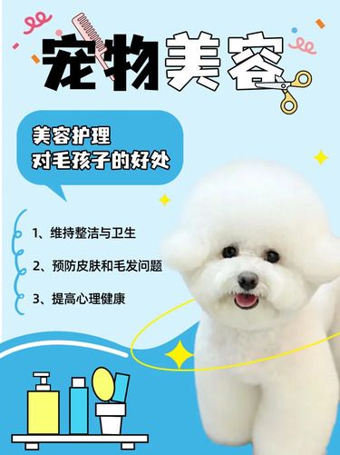 宠物美容 | 美容护理并不只是为了漂亮哦！