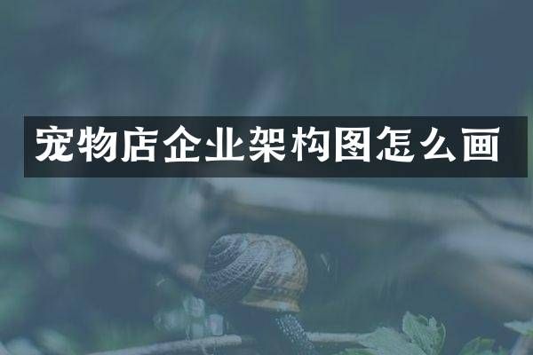 宠物店企业架构图怎么画