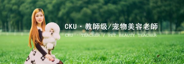 宠物美容的起源是怎样？