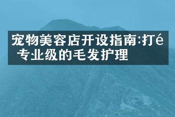 宠物美容店开设指南:打造专业级的毛发护理