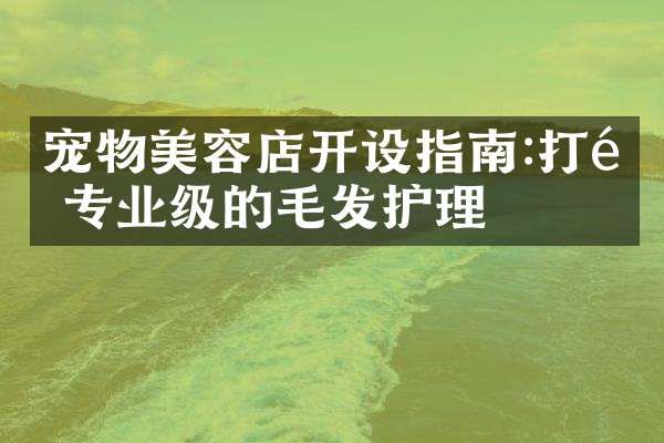 宠物美容店开设指南:打造专业级的毛发护理