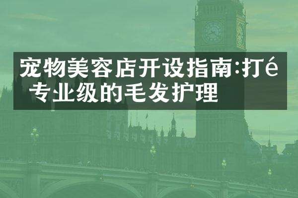 宠物美容店开设指南:打造专业级的毛发护理