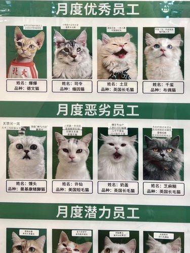 看一次笑一次，什么时候能忍住不笑啊