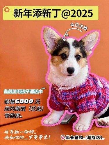 哇塞，这活动太哇塞了～