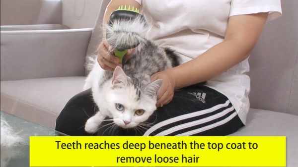 Pet Hair Grooming Tool Double Sided Massage Deshedding Dematting Pin And Bristle Brush Comb Set For All Breeds Dogs Cats