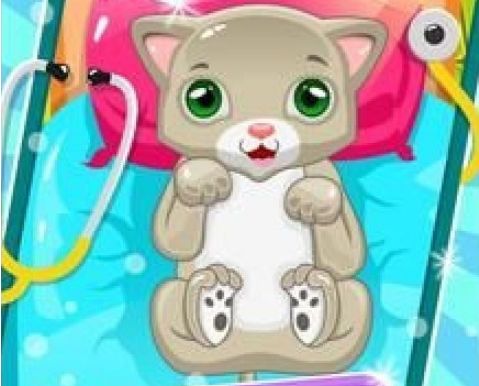 小猫医生宠物兽医
