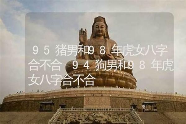 男狗女猪八字合吗