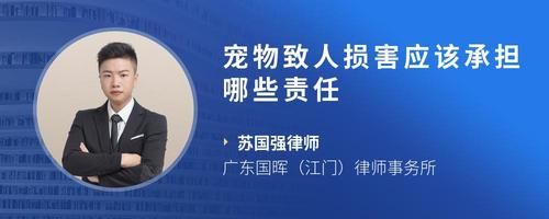 宠物致人损害应该承担哪些责任