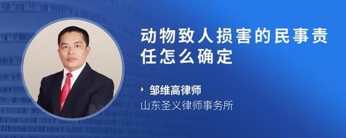 动物致人损害的民事责任怎么确定