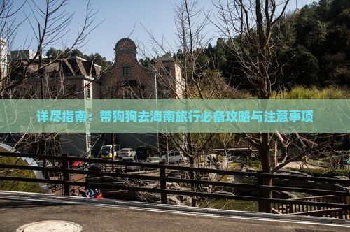 详尽指南：带狗狗去海南旅行必备攻略与注意事项