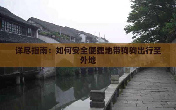 详尽指南：如何安全便捷地带狗狗出行至外地