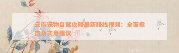 云南宠物自驾攻略最新路线视频：全面指南及实用建议