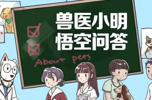 宠物粮食是怎么做出来的？主要用什么配料 - 爱宠物