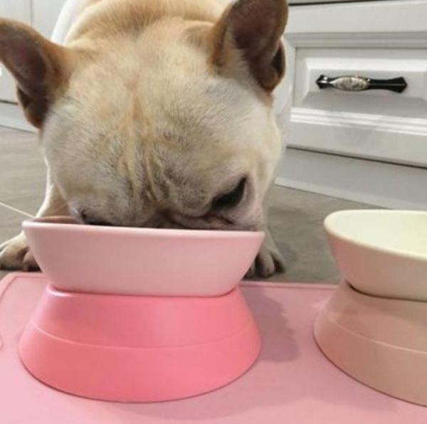 宠物粮食是怎么做出来的？主要用什么配料 - 爱宠物
