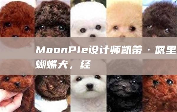 MoonPie设计师凯蒂·佩里的蝴蝶犬，经