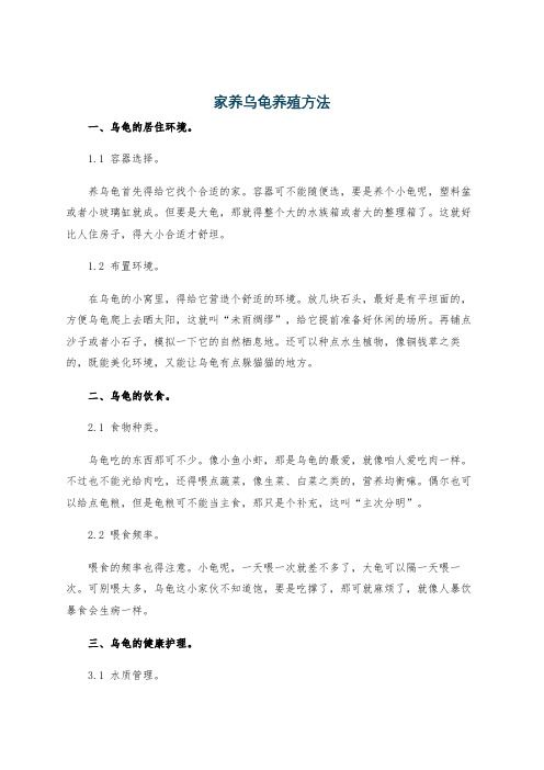 家养乌龟养殖方法