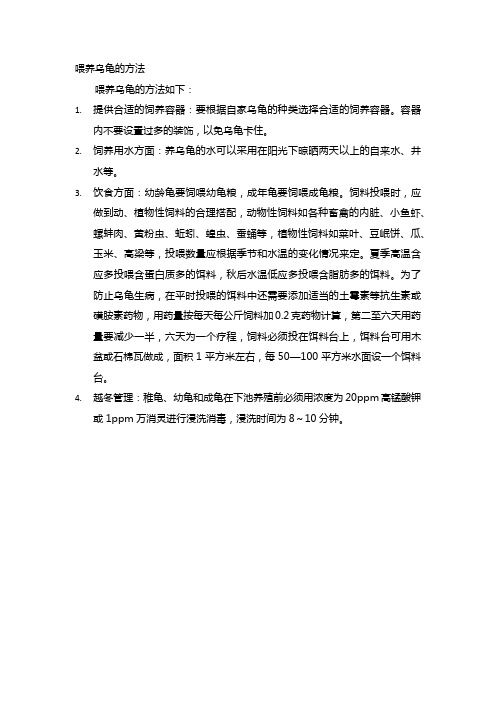 喂养乌龟的方法