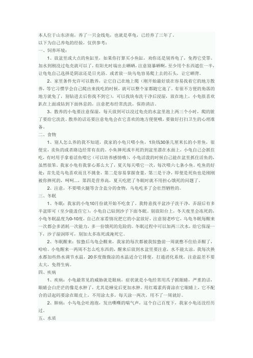 怎样养乌龟