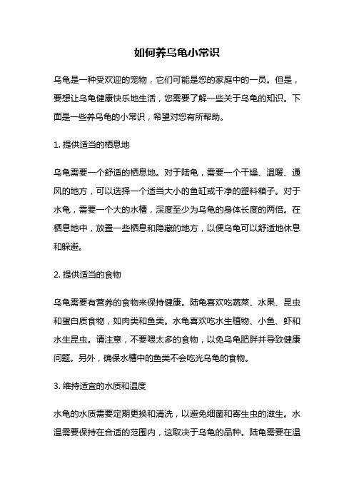 如何养乌龟小常识