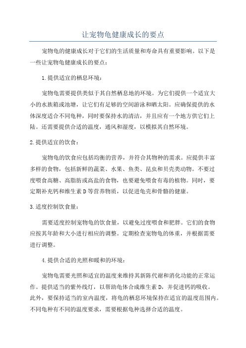 让宠物龟健康成长的要点