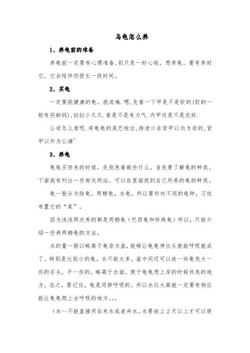 养龟的基本知识